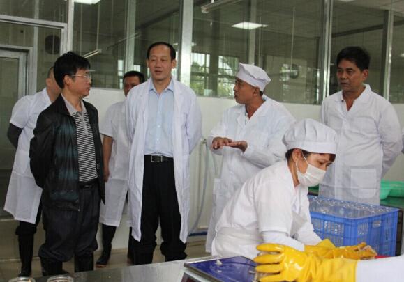 县委书记陈军(中)在定城水冲坡农副产品加工厂了解生产情况